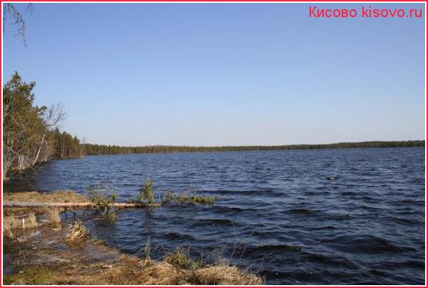 На Карповском озере май 1